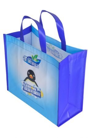 Wholesale Custom laminated polypropylene non woven promotion tote bag