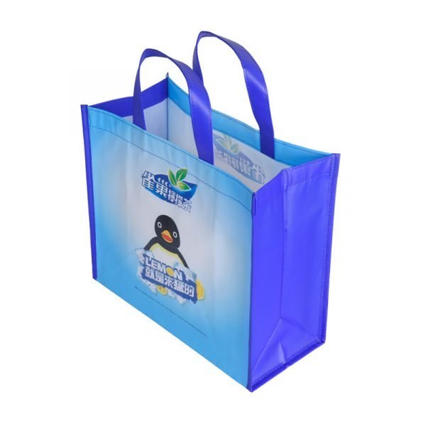 Wholesale Custom laminated polypropylene non woven promotion tote bag