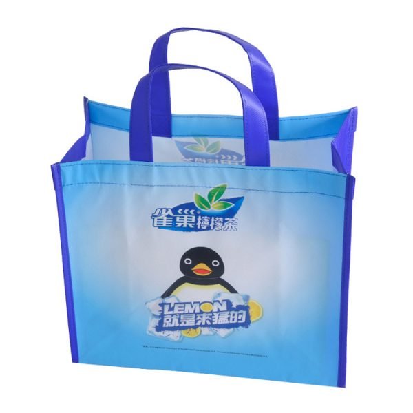 Wholesale Custom laminated polypropylene non woven promotion tote bag - Image 7