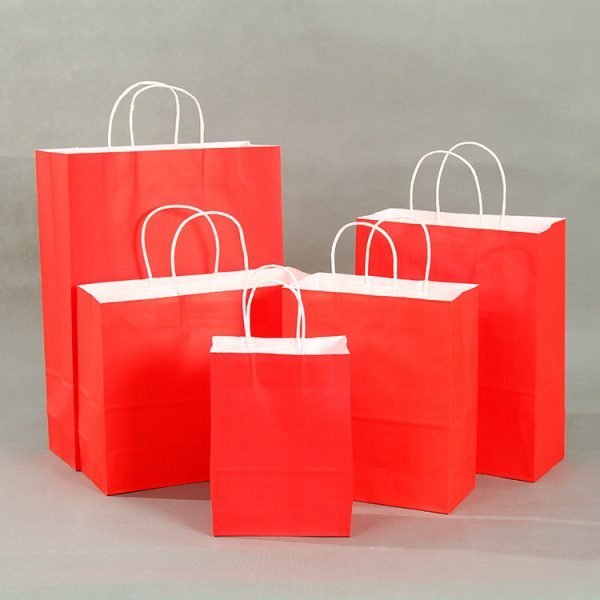 Wholesale Custom Printed Paper Bags Craft Shopping Tote Paper Bag - Image 4