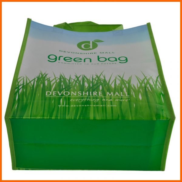 Wholesale Custom Gravue Offset Printing Laminated PP Nonwoven Supermarket Shopping Bags With Wine Holders - Image 8