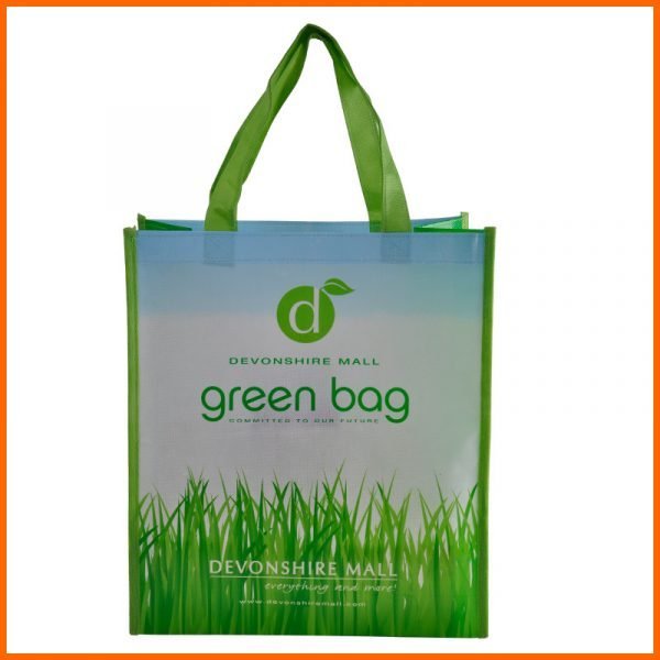 Wholesale Custom Gravue Offset Printing Laminated PP Nonwoven Supermarket Shopping Bags With Wine Holders - Image 6